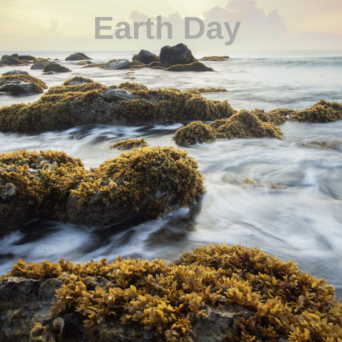 9 Ways to Embrace Earth Day Everyday